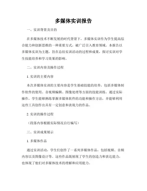 多媒体实训报告