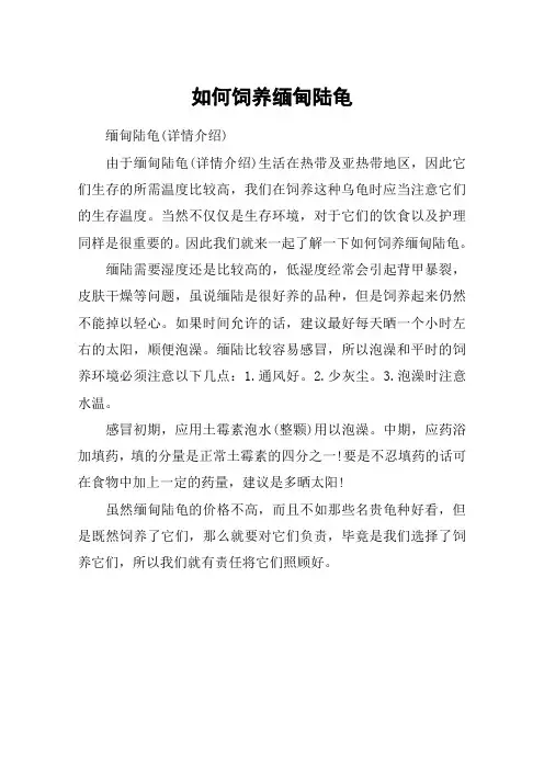 如何饲养缅甸陆龟