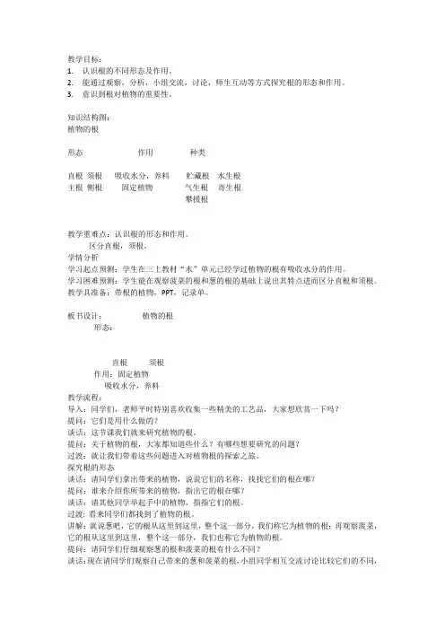 植物的根