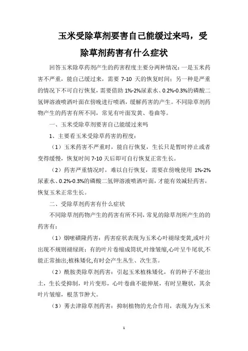 玉米受除草剂要害自己能缓过来吗,受除草剂药害有什么症状