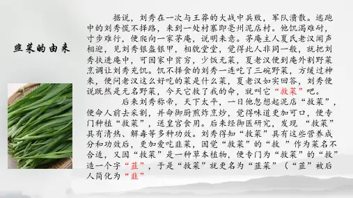 七年级历史第13课东汉的兴衰