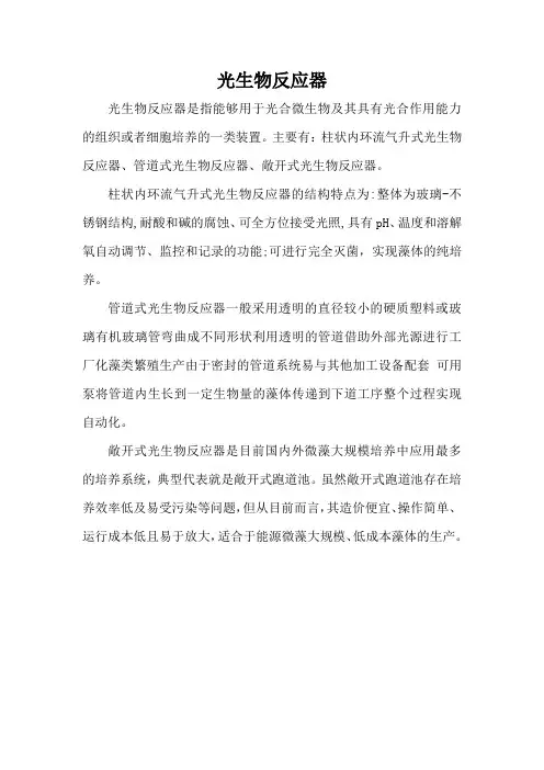 光生物反应器