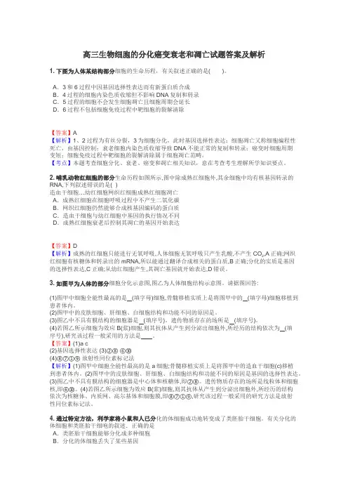 高三生物细胞的分化癌变衰老和凋亡试题答案及解析
