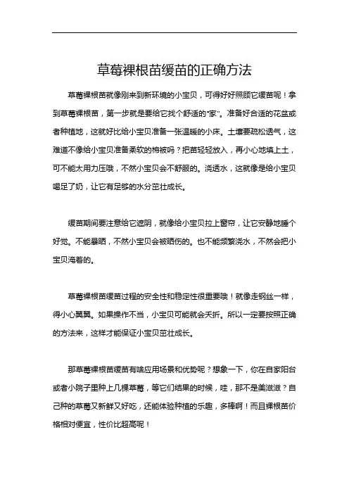 草莓裸根苗缓苗的正确方法
