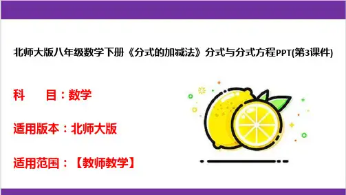 北师大版八年级数学下册《分式的加减法》分式与分式方程PPT(第3课件)