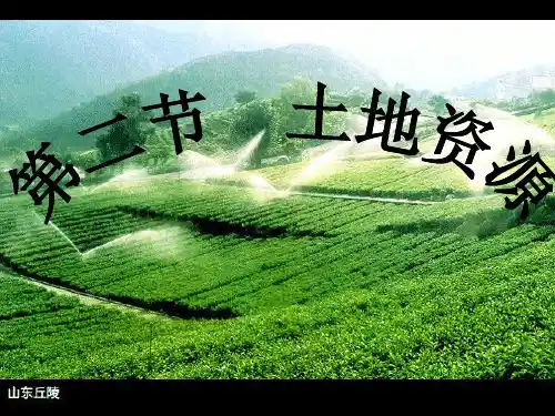 人教版地理八上第三章第2节《土地资源》优质课件 (共34张)