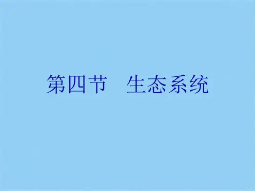 第四节   生态系统(共9张PPT)