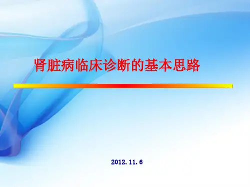 肾脏病临床诊断的基本思路
