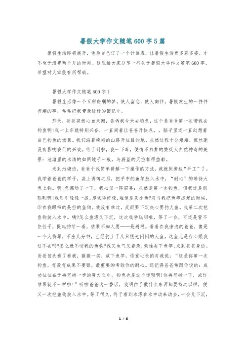 暑假大学作文随笔600字5篇