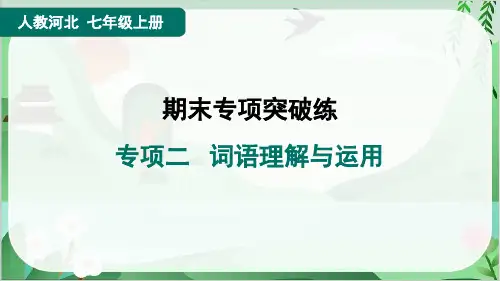 2024年部编版七年级上册语文期末复习专项二 词语理解与运用