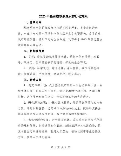 2023年整治城市黑臭水体行动方案