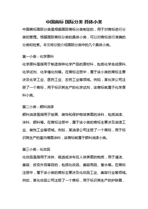 中国商标 国际分类 具体小类