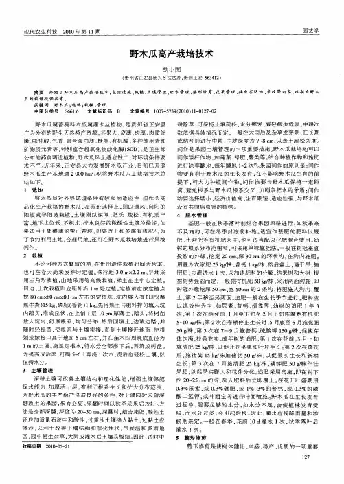 野木瓜高产栽培技术