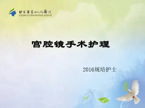 宫腔镜手术护理ppt课件