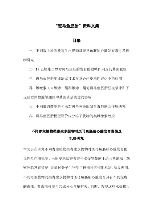 “斑马鱼胚胎”资料文集