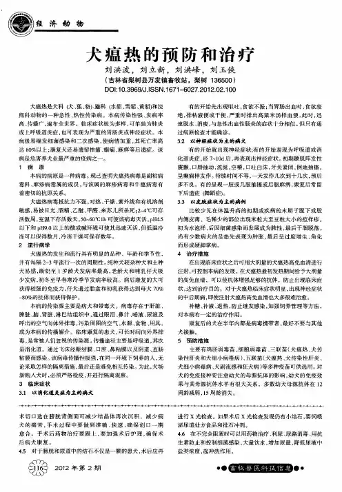 犬瘟热的预防和治疗