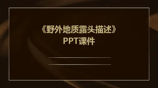 《野外地质露头描述》课件