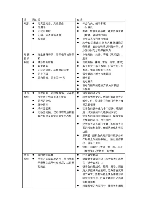 脊椎动物学分纲特征