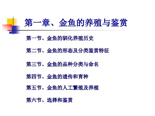 金鱼的鉴赏