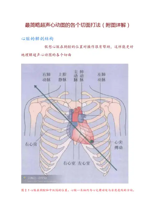 最简略超声心动图的各个切面打法
