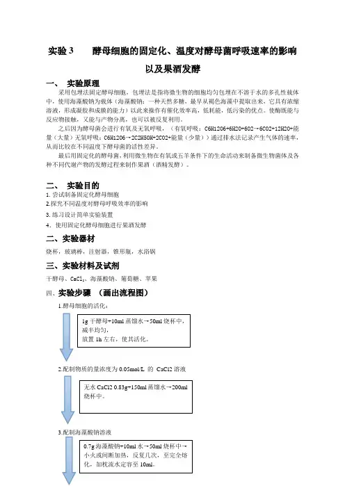 04酵母细胞的固定