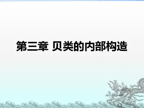 贝类学第3章-内部构造