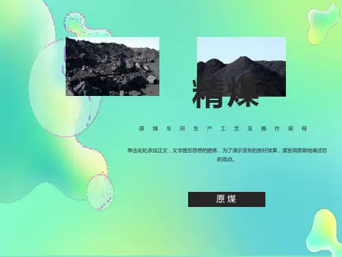 原煤车间生产工艺及操作规程