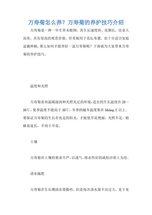万寿菊怎么养？万寿菊的养护技巧介绍