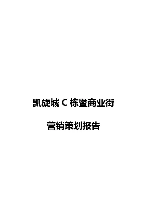 凯旋城C栋暨商业街营销策划报定稿