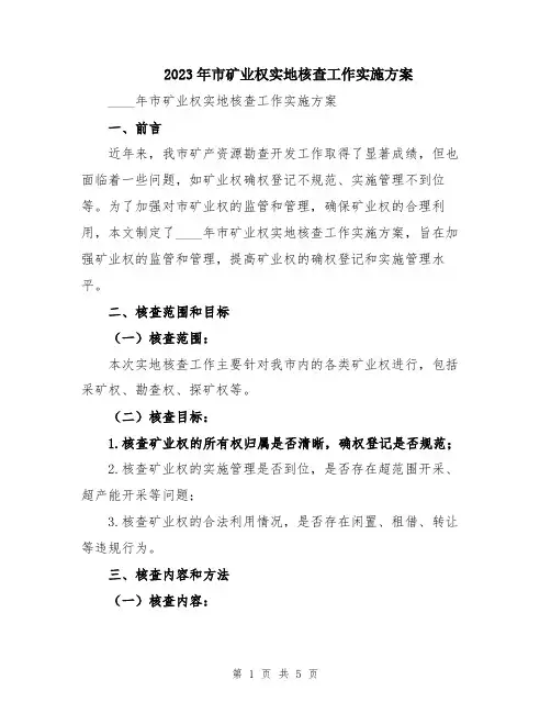 2023年市矿业权实地核查工作实施方案