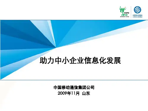 中国移动中小企业信息化应用.pptx