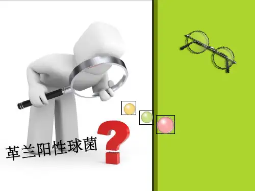 革兰阳性菌
