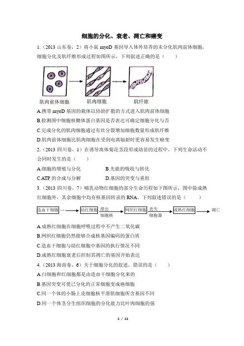 高考一轮复习同步高考真题《细胞的分化、衰老、凋亡和癌变》