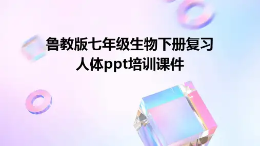 鲁教版七年级生物下册复习人体PPT培训课件