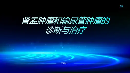 肾盂肿瘤和输尿管肿瘤诊断与治疗PPT