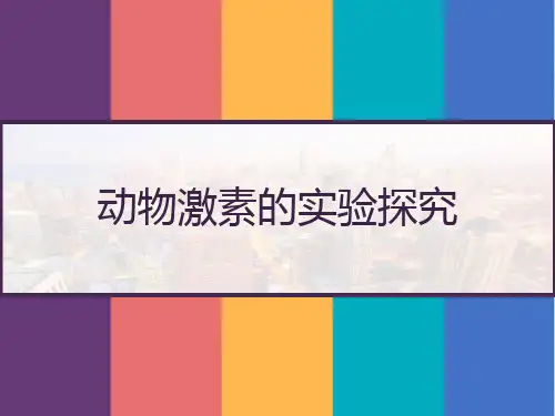 动物激素的实验探究 PPT
