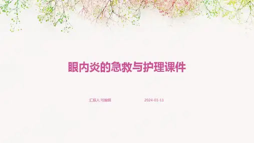 眼内炎的急救与护理课件PPT
