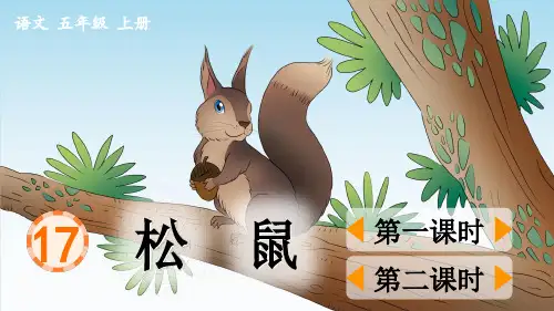 (2021秋)部编版五年级语文上册《松鼠》PPT优秀课件
