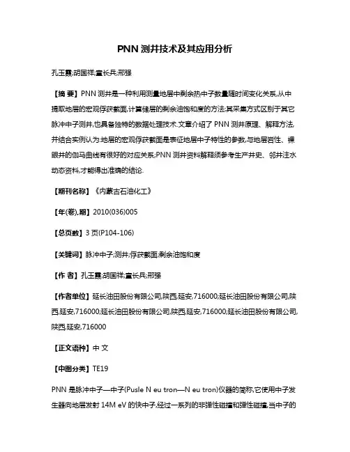 PNN测井技术及其应用分析