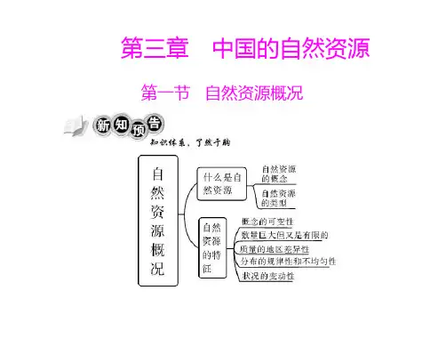 八年级地理自然资源概况