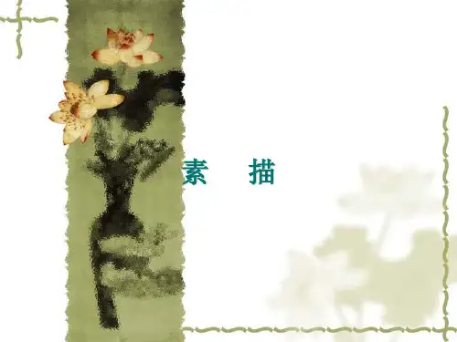 河北美术出版社(初中一年级)七年级美术下册：素描_课件1