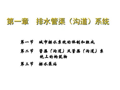 排水管渠(沟道)系统