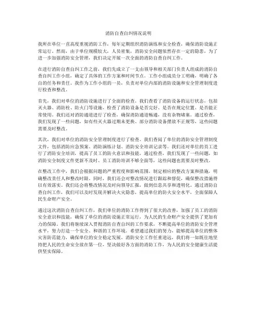 消防自查自纠情况说明