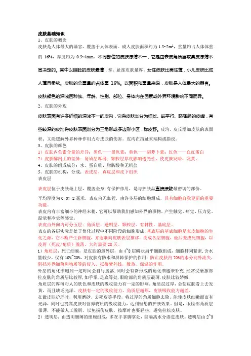皮肤基础知识