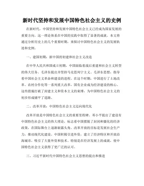 新时代坚持和发展中国特色社会主义的史例