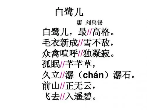 白鹅课件