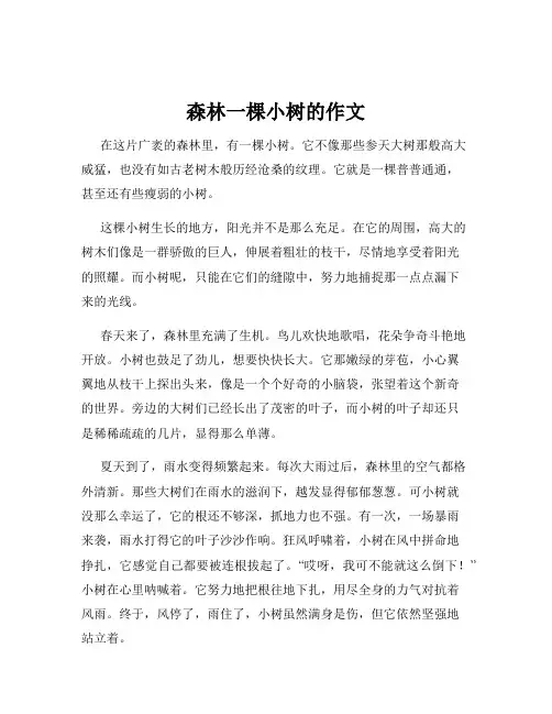 森林一棵小树的作文