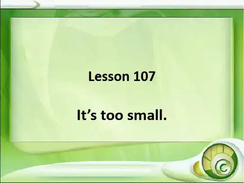 新概念英语NCE1_Lesson107-108(第31页)课件
