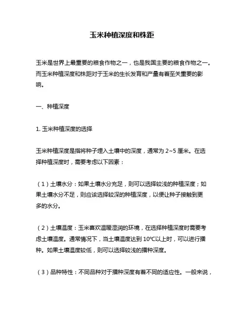 玉米种植深度和株距