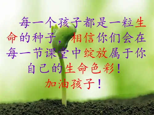 六年级下册科学_有趣的食物链苏教版(14张)[1]精品课件